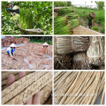 Alfombras y alfombras tejidas de jacinto de agua natural